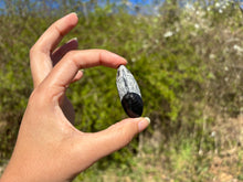 Charger l'image dans la galerie, Orthoceras 1