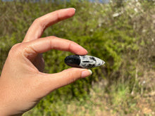 Charger l'image dans la galerie, Orthoceras 2