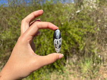 Charger l'image dans la galerie, Orthoceras 2