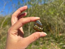 Charger l'image dans la galerie, Oeil de fer 14