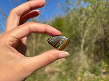 Charger l'image dans la galerie, Oeil de fer 14