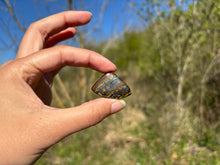 Charger l'image dans la galerie, Oeil de fer 14