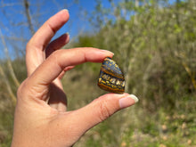 Charger l'image dans la galerie, Oeil de fer 14