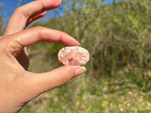 Charger l'image dans la galerie, Jaspe oeil d'oiseau 3
