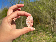 Charger l'image dans la galerie, Jaspe oeil d'oiseau 3