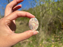 Charger l'image dans la galerie, Jaspe oeil d'oiseau 4