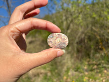Charger l'image dans la galerie, Jaspe oeil d'oiseau 4