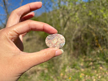 Charger l'image dans la galerie, Jaspe oeil d'oiseau 4