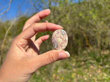 Charger l'image dans la galerie, Jaspe oeil d'oiseau 4