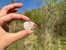 Charger l'image dans la galerie, Jaspe oeil d'oiseau 7