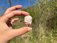 Charger l'image dans la galerie, Jaspe oeil d'oiseau 7