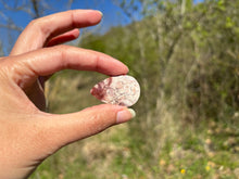 Charger l'image dans la galerie, Jaspe oeil d'oiseau 7