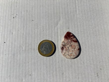 Charger l'image dans la galerie, Jaspe oeil d'oiseau 7