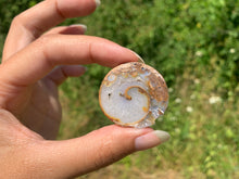 Charger l'image dans la galerie, Ammonite 11