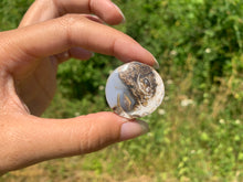 Charger l'image dans la galerie, Ammonite 12