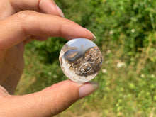 Charger l'image dans la galerie, Ammonite 12