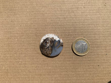 Charger l'image dans la galerie, Ammonite 12