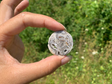 Charger l'image dans la galerie, Ammonite 13