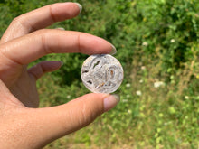 Charger l'image dans la galerie, Ammonite 13