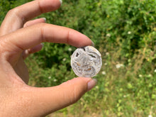 Charger l'image dans la galerie, Ammonite 13