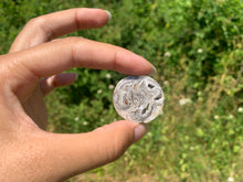 Charger l'image dans la galerie, Ammonite 13