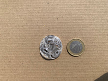 Charger l'image dans la galerie, Ammonite 13