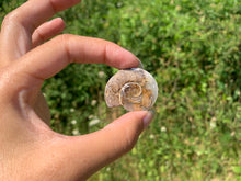 Charger l'image dans la galerie, Ammonite 14