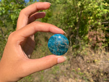 Charger l'image dans la galerie, VENDU Apatite bleue 16