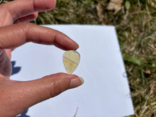 Charger l'image dans la galerie, Fluorite 33