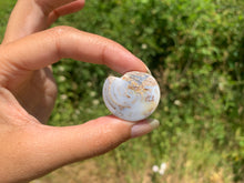 Charger l'image dans la galerie, Ammonite 23