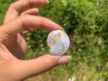Charger l'image dans la galerie, Ammonite 23