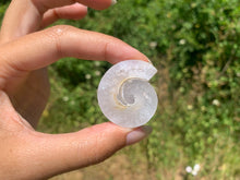 Charger l'image dans la galerie, Ammonite 24