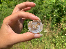 Charger l'image dans la galerie, Ammonite 25