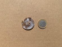 Charger l'image dans la galerie, Ammonite 25