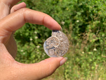 Charger l'image dans la galerie, Ammonite 26