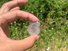 Charger l'image dans la galerie, Ammonite 28