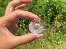 Charger l'image dans la galerie, Ammonite 29