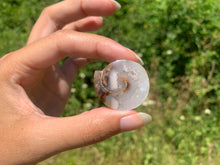 Charger l'image dans la galerie, Ammonite 29