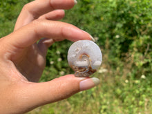 Charger l'image dans la galerie, Ammonite 29