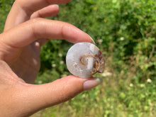 Charger l'image dans la galerie, Ammonite 29