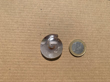 Charger l'image dans la galerie, Ammonite 29