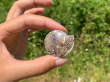 Charger l'image dans la galerie, Ammonite 32