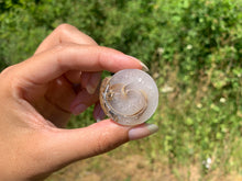 Charger l'image dans la galerie, Ammonite 35