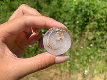 Charger l'image dans la galerie, Ammonite 35