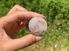 Charger l'image dans la galerie, Ammonite 35