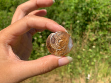 Charger l'image dans la galerie, VENDU Ammonite 36