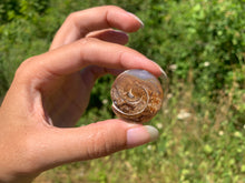 Charger l'image dans la galerie, VENDU Ammonite 36