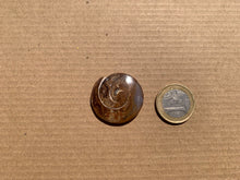 Charger l'image dans la galerie, VENDU Ammonite 36