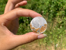 Charger l'image dans la galerie, Ammonite 38