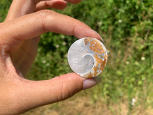 Charger l'image dans la galerie, Ammonite 38